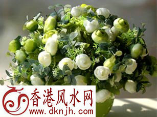 餐厅里最适合摆放什么样的植物