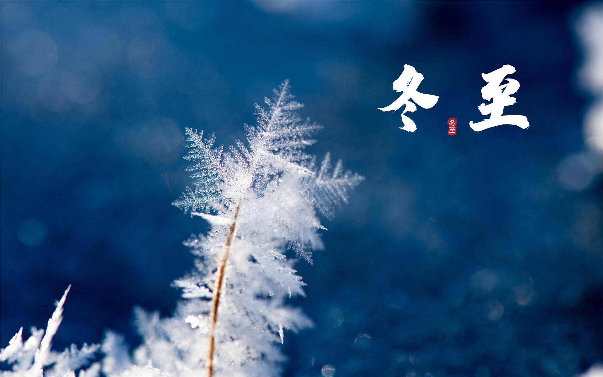 今年冬至是哪一天
