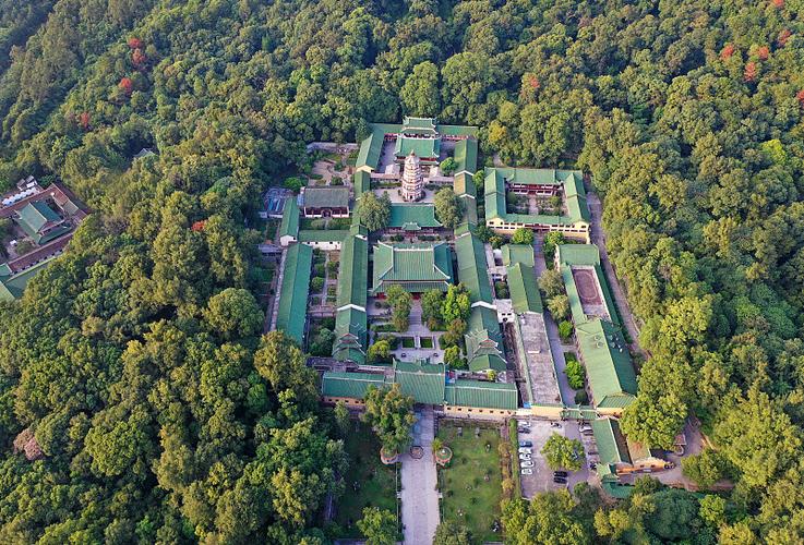 ��ս֥�Ӹ� ��ս֥�Ӹ��Ӱ�������߹ۿ�