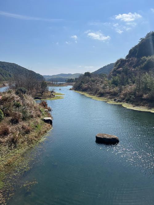 ��������Ƶ������ ���˫����