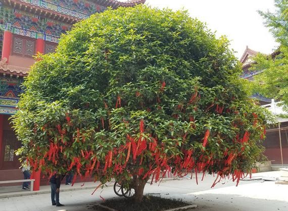 山前楼房的风水 山前楼房的风水