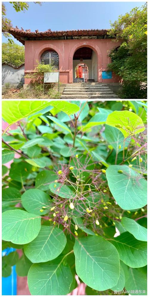 车晓代表作 车晓的人生经历 车晓代表作 车晓的人生经历