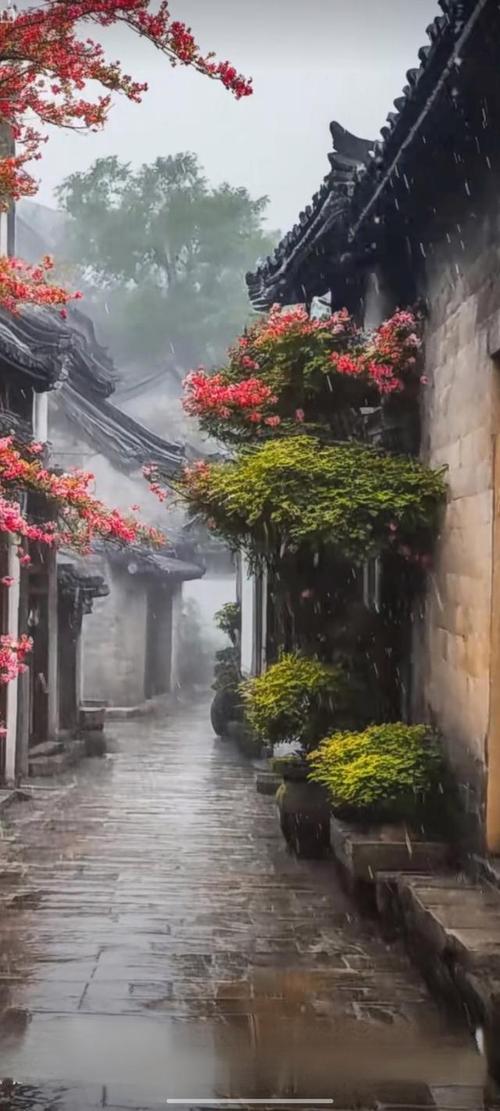 吉星文子女 吉星文子女