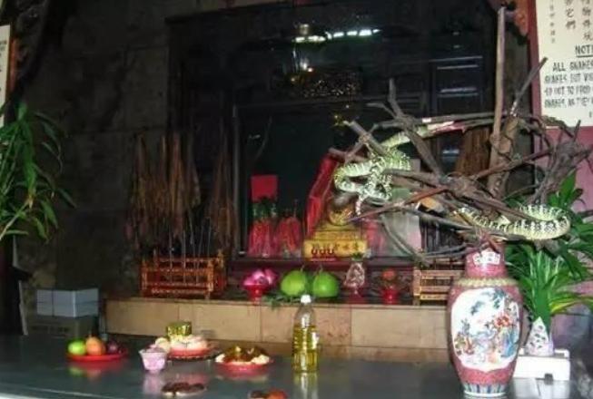 紫微斗数详解十二生肖 紫微斗数详解十二生肖