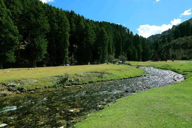 属兔未来十年运势及运程图 属兔未来十年运势及运程图