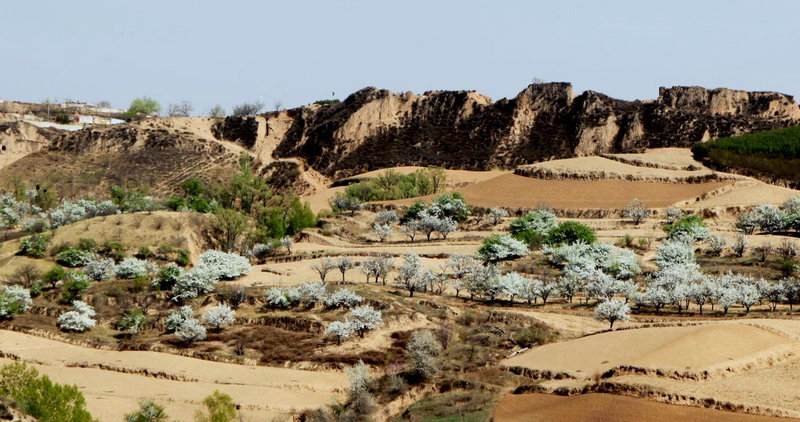 ������������ƥ��(�������ֺϻ���Ա�,����������Բ�ѯ��)