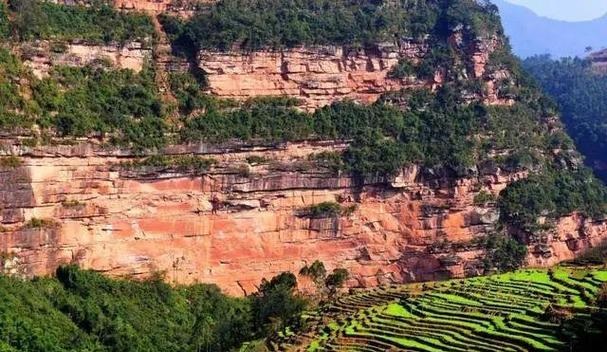 2025������ũ�����¿�ҵ���� �ʺϿ�ҵ������