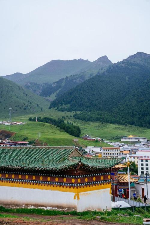 保剑锋是哪里人,保剑锋老家是哪里的 保剑锋是哪里人,保剑锋老家是哪里的