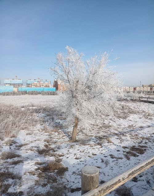 蔡健雅简介 蔡健雅简介个人资料 蔡健雅简介 蔡健雅简介个人资料
