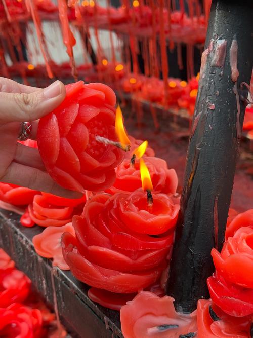 ��͢�����ƽ�� ������˿��ƿ���������