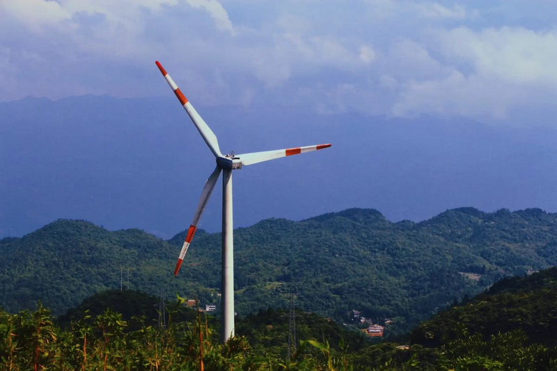 ���ں�������Ů��