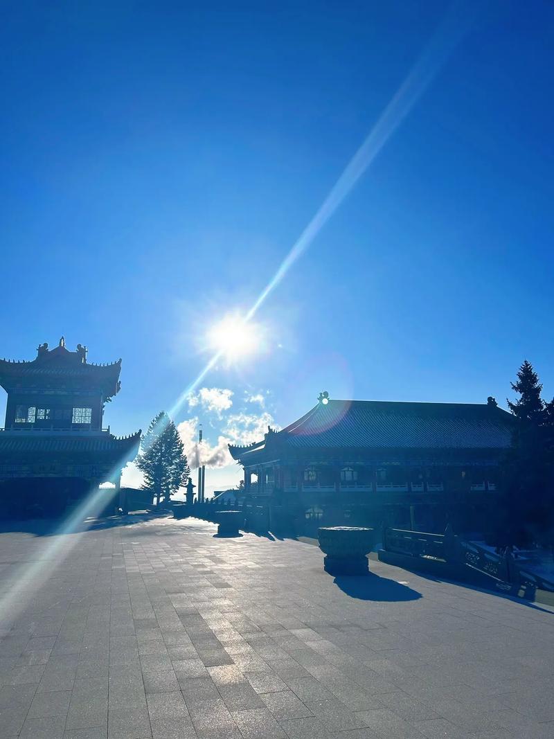 ��΢���������������