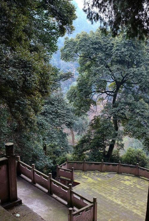 2018�������·������� ����������2018��8�µ�������ʲô��˼��