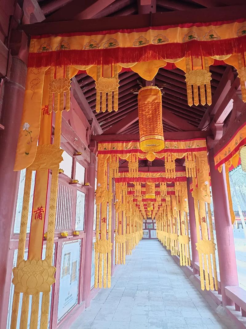 ����������׼��