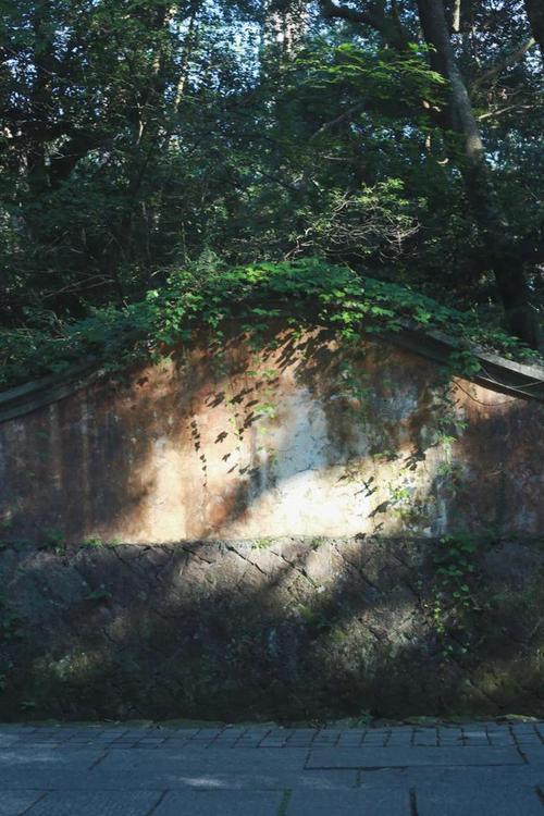 ����Ů���������Ҹ����𣿻����������ϣ�