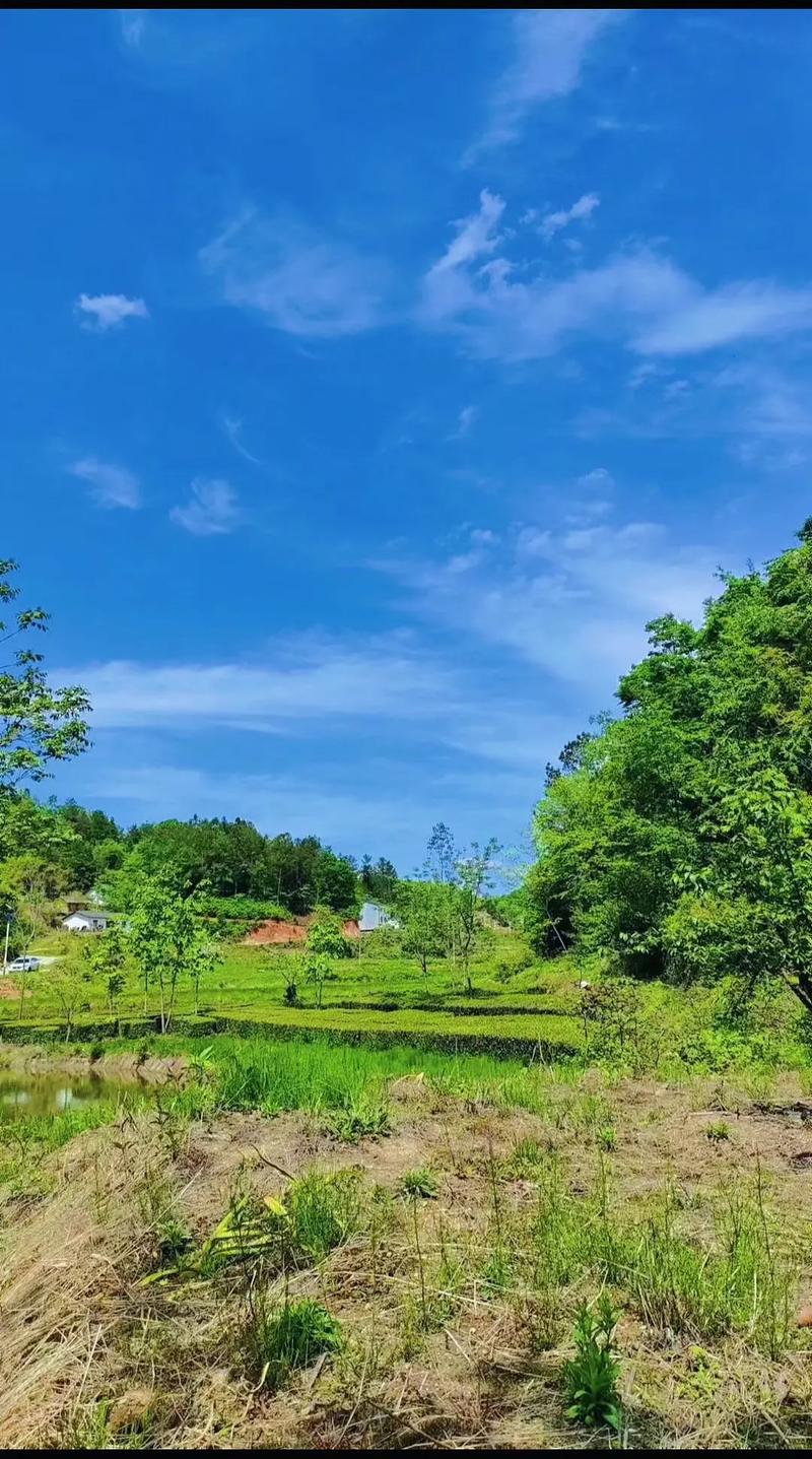 ����Ȼ���ز�ϲ��֣ˬ