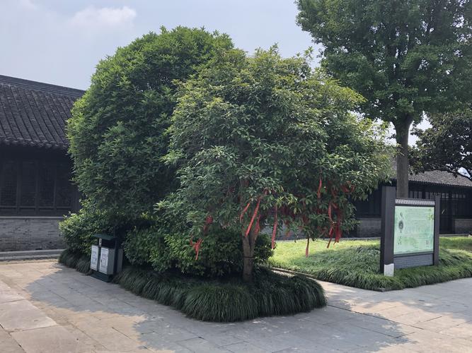 �ܹ����Σ��μ���������ʲô���壿