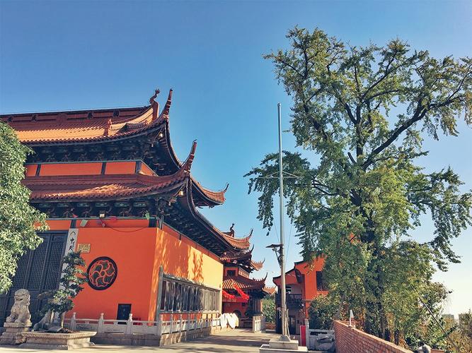 �����������������֮������