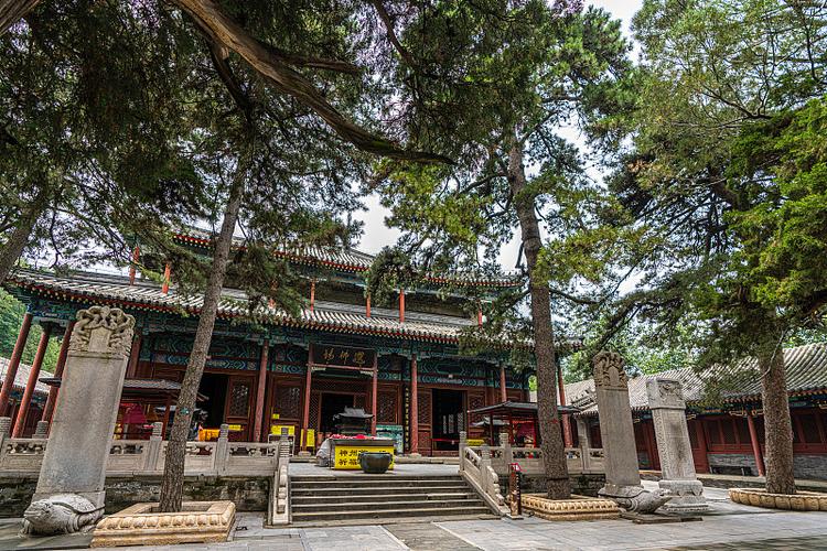 ��ţ���������Щ