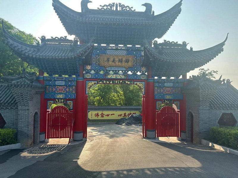 属鸡2025年运气如何 属鸡2025年运气如何