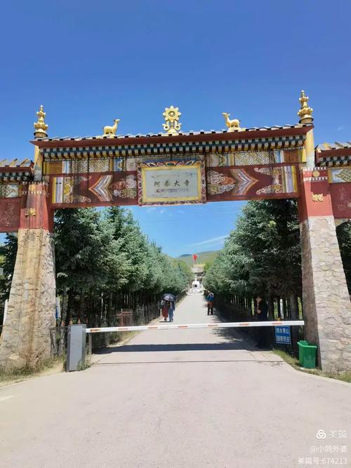 ��λ��ˮ��ֲ��