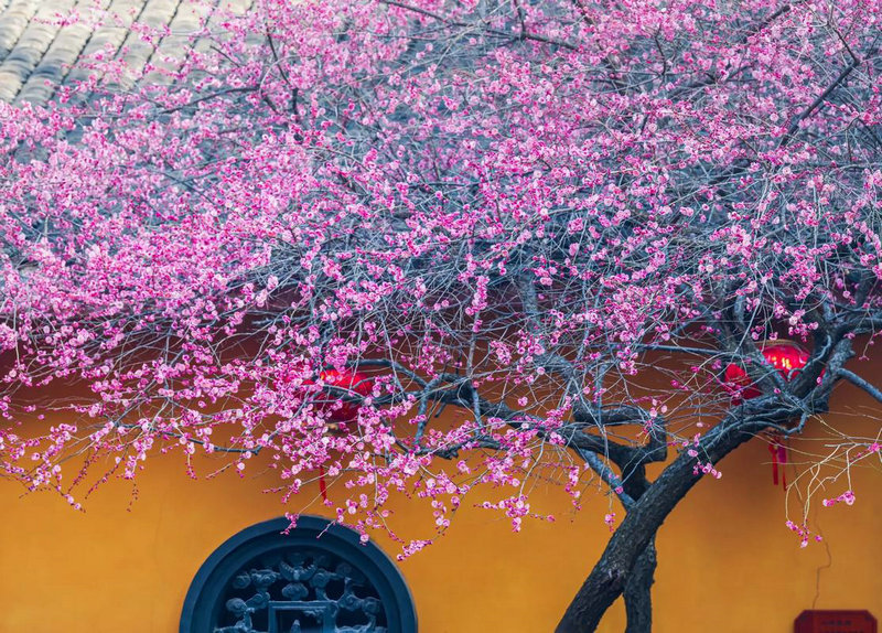 ��Ф��2025��10���ļ����ᳵ��� ���ó�����