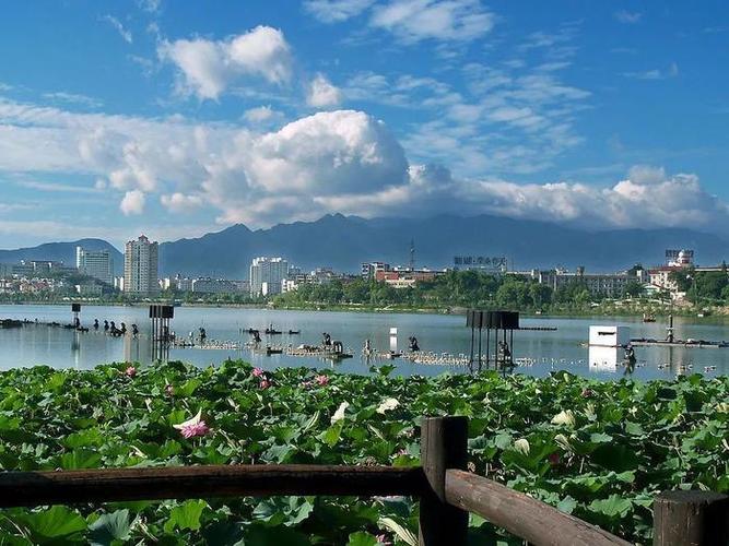 ��ͬţ���������ţ��2025��ȫ������