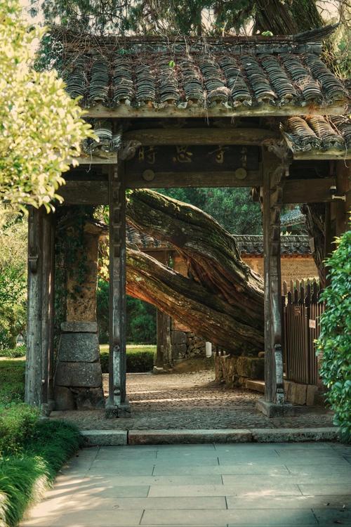 ��������ʲôˮ������ˮ�� ����ˮ����