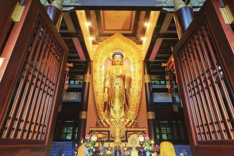 ������������֧�ĳ��ּ�Ϊ�¹�֮��