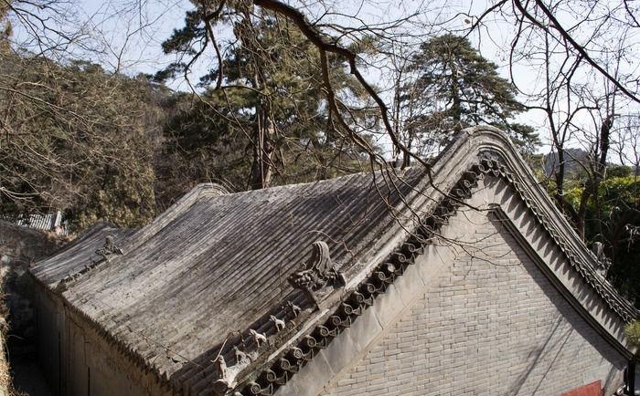 ��ˮ֪ʶ����ѧ�ÿγ�(��ˮ��ѧ��������Щ֪ʶ)