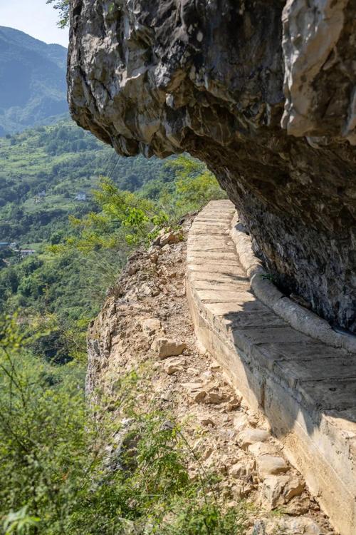 �����ʲ���_�����ʲ��д���ӡ���Ӱ�