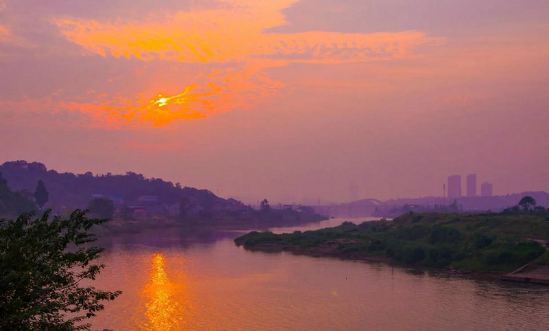 陈宝莲死亡真相 陈宝莲死亡真相是哪一集 陈宝莲死亡真相 陈宝莲死亡真相是哪一集