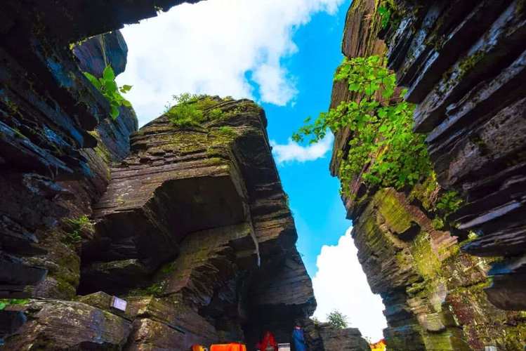 ��ţ���Ը��ص�Ů ��ţ�Ը��ص� Ů