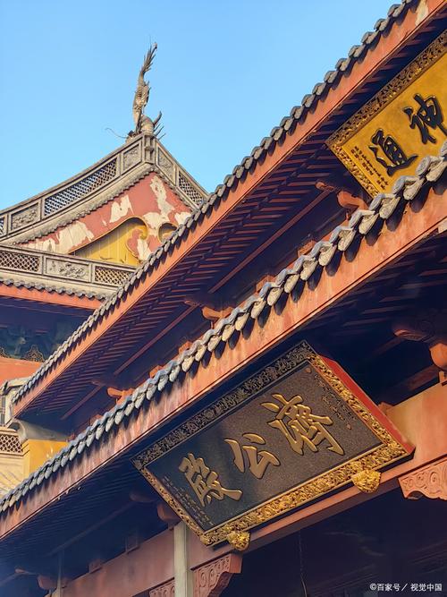 ��ţ�ĵ�2025������ ��ţ35����