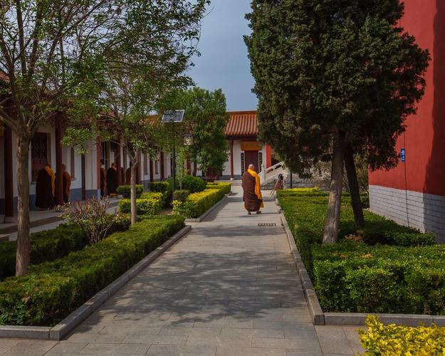 2025年女属鼠的属相婚配表