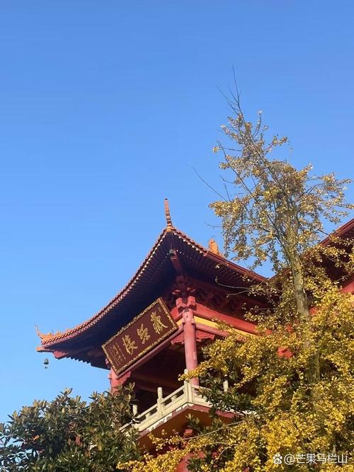 ��ţʨ����2025������