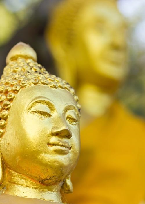 ��ս�羪����ѹۿ�����