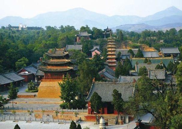 起名兔宝宝姓杨怎么起名 起名兔宝宝姓杨怎么起名