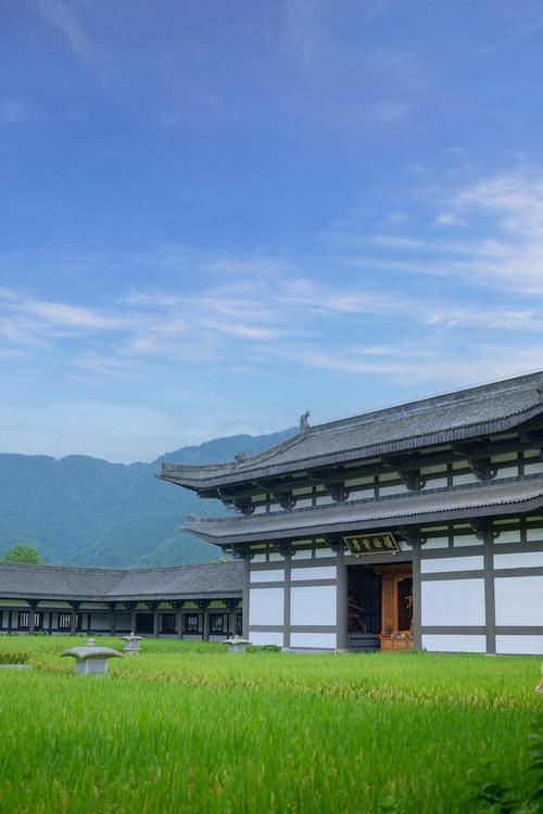 属鸡的今年几岁了 属蛇女嫁给哪些生肖男最幸 属鸡的今年几岁了 属蛇女嫁给哪些生肖男最幸