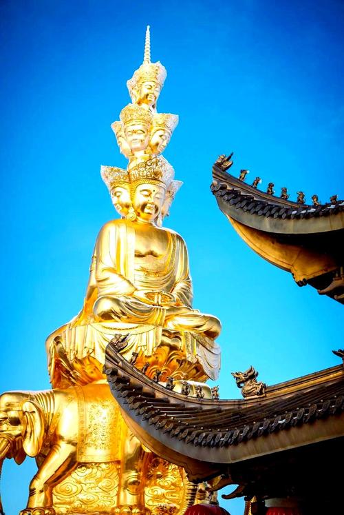 ʮ������˽�ھ�