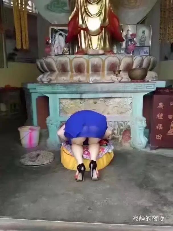 ���о�������