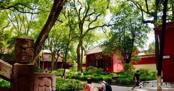 姚姓男孩名字2025年11月19日出生的 姚姓男孩名字2025年11月19日出生的