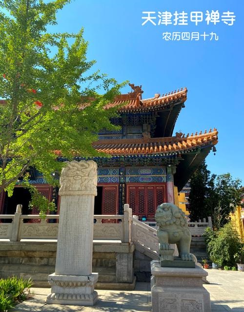 ��Ӣ���������������۱���