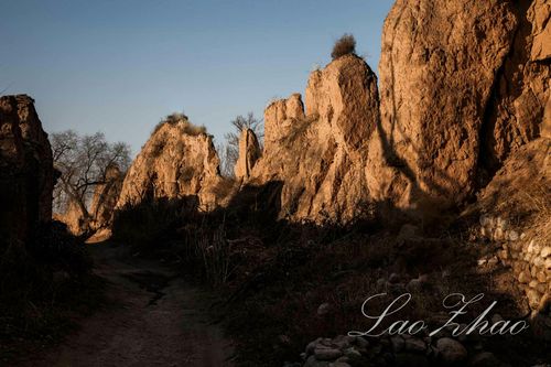 ְ���ϵ�С��������ô��