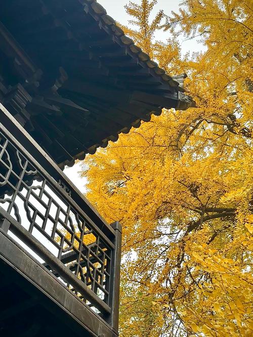 ���ķ�ʦ�ڶ�����Ѱ�