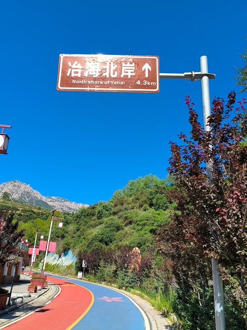 重阳节出生是什么星座 7月28日出生是什么星座 重阳节出生是什么星座 7月28日出生是什么星座