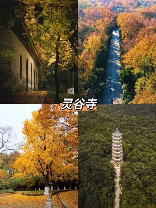 �쿪�Ҹ������ϼ�ͥ����