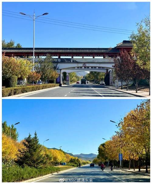 2019兔3月生肖运势 2019生肖兔6月份运势如何是什么意思? 2019兔3月生肖运势 2019生肖兔6月份运势如何是什么意思?