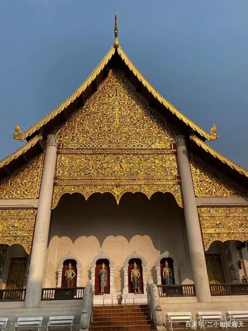 ����������2025��Ϣ