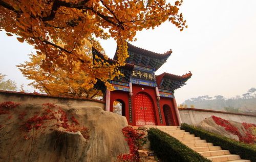 奇门大成心传九篇 奇门大成心传九篇